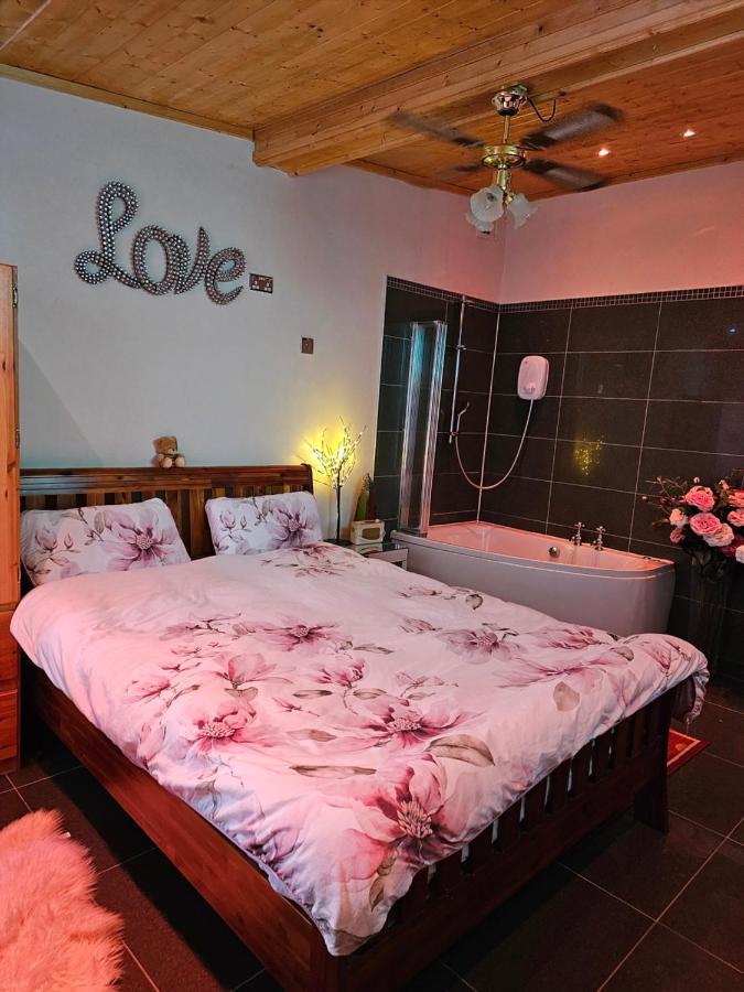Apartament Baron Park House Clonmel Zewnętrze zdjęcie